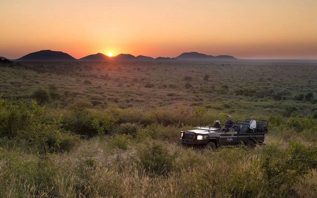 Tracking Game from Your 4×4: Strategies for Success – Best Practices for Using Your Vehicle in the Hunt