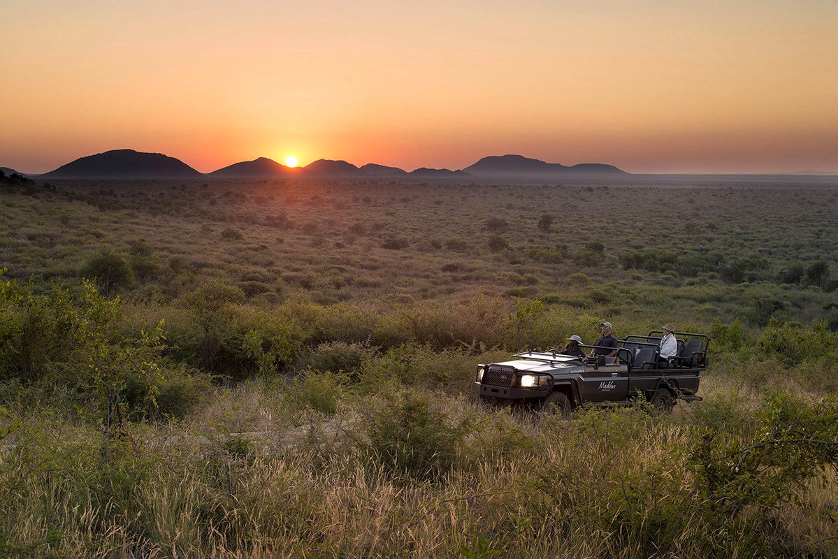 Tracking Game from Your 4×4: Strategies for Success – Best Practices for Using Your Vehicle in the Hunt