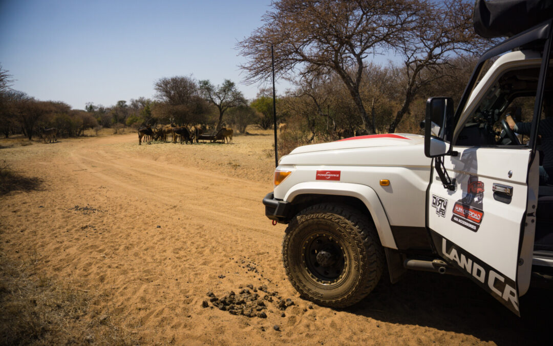 What to Do in Johannesburg: Explore More With the Right 4×4 Setup